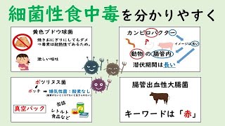 【衛生】細菌性食中毒をわかりやすく解説