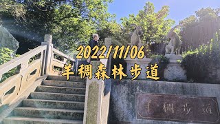 羊稠森林步道-2022/11/06