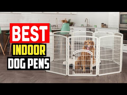 ✅ Top 5 Best Indoor Dog Pens for All Kinds of Pups in 2024