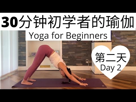 【30分钟初学者的瑜伽课程 Day 2】零基础瑜伽入门系列课程 | Yoga for Beginners Series #2