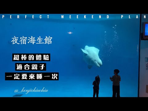 福斯T4親子環島之旅｜夜宿屏東海生館｜一生一定要體驗一次