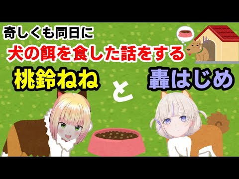 【桃鈴ねね／轟はじめ】奇しくも同日に犬の餌を食した話をする二人【ホロライブ】