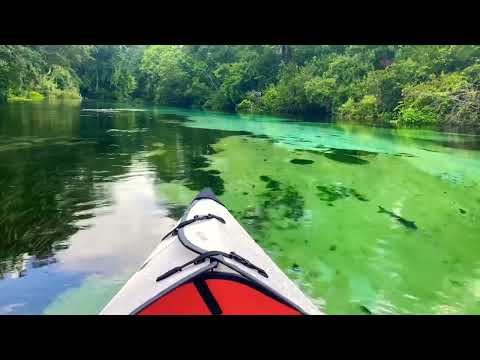 Relaxing Kayaking | Weeki Wachee Springs