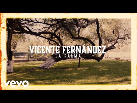 Vicente Fernández - La Palma (Visualizer)