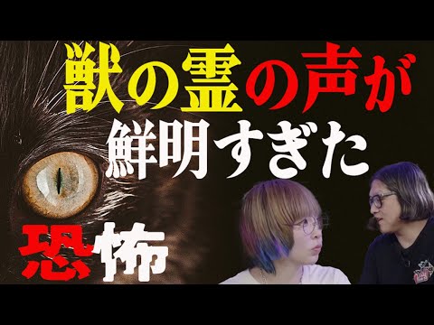 【ガチ心霊映像】ライブ映像にだけ混入した謎の動物の声【呪物バー「絶望の壁」の呪い!?】