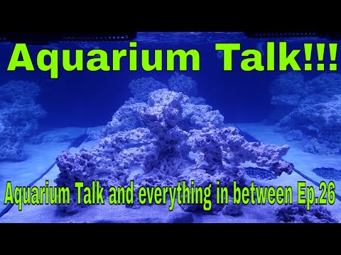 Aquarium Talk