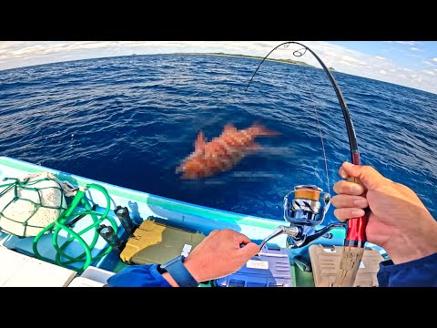 五目釣りのはずがドラグの止まらん大物が釣れたので食べてみた