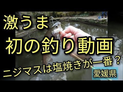 【激うま】釣り場でニジマス爆釣！?初の釣りファミリー動画注意😅帰りはアルトで爆速!!