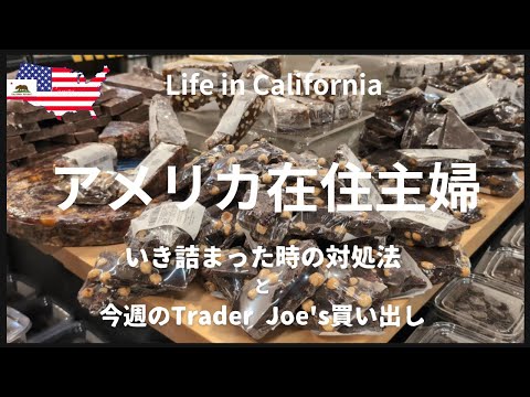 [アメリカ在住主婦] いき詰まった時の対処法｜今週のTrader Joe's買い出し｜ハーブティーを買いにホールフーズへ｜おすすめアメリカでカルボナーラが食べられるイタリアン