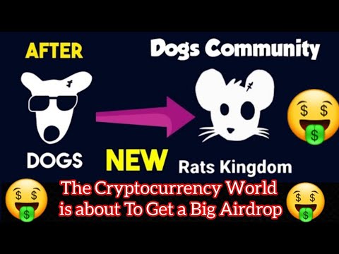 Rats Kingdom Free Airdrop | Rats Kingdom Telegram Bot Today New Update | Rats Kingdom Registration