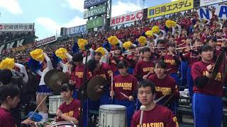 【2019選抜高校野球】これがレッツゴー習志野だ！！！美爆音♫渾身の演奏！！習志野高校美爆音