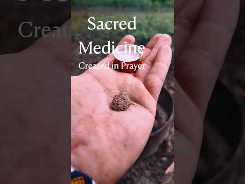 Hapé | Plant Medicine from the Amazon @fourvisionstribe #spirituality #shaman