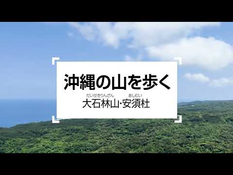 沖縄の山を歩く（大石林山・安須杜（アシムイ））| 2023年_脈々秋号