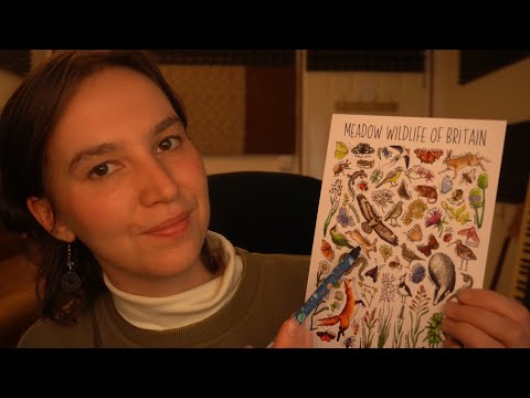 ASMR Wildlife Postcards | Instructions, Tracing, Soft-Speaking