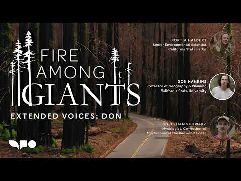 Fire Among Giants: Extended Voices Podcast — Don Hankins