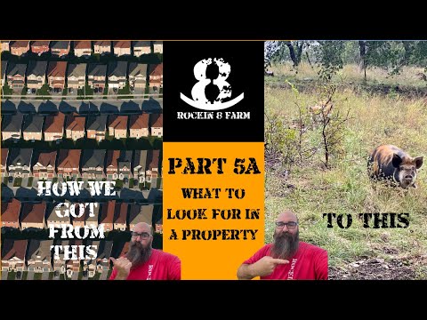 First Steps To Getting Your Homestead Part 5A | What To Look For In A Property