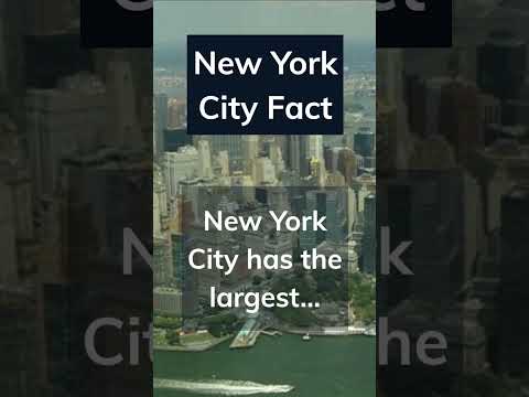 Do you ride the subway? 🗽 leave a comment if you do! #facts #newyork #subway #shorts