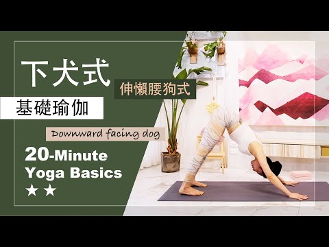 20分鐘 基礎瑜伽【下犬式】Yoga Basics ★ ★ #肌力提升 #核心力量 #每日瑜伽 #初學者瑜珈 #瑜珈基礎