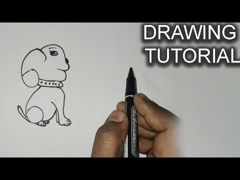 See How To Draw A Dog | Drawing Tutorial Episode 5 | Rupkothar Golpo