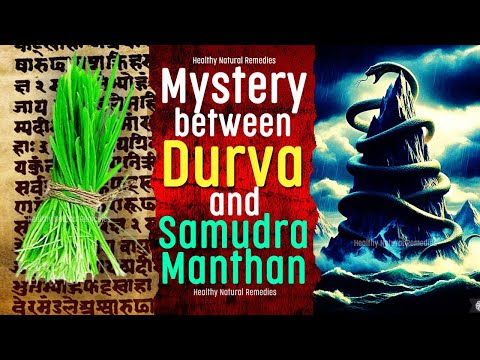 Mystery between Durva, Samudra Manthan and Ganesha | Reason behind offering Durva to Ganesha