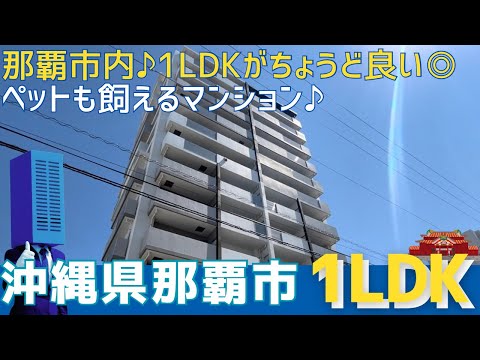 沖縄の不動産【那覇市松山の1LDK✨ペットと過ごせるマンション🐶🐱】レーヴグランディ松山