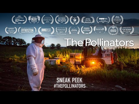 The Pollinators (2020) | Sneak Peek 2