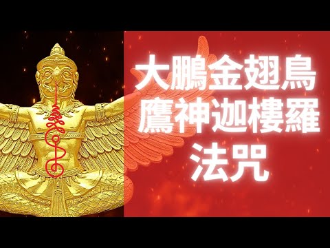 大鵬金翅鳥 鷹神迦樓羅 法咒 增權威助官運引財運 消除障礙