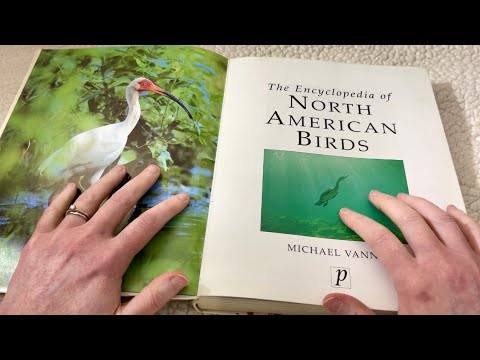 ASMR Reading Bird Names Until You Fall Asleep (whispered, page sounds)