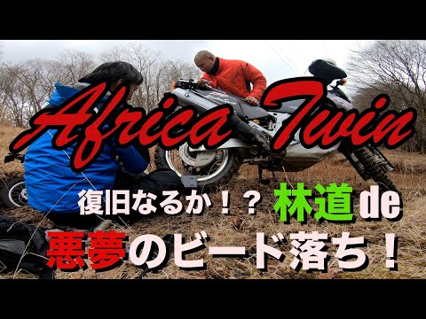 【林道】果たして無事に帰還できるか！？アフリカツインまさかの林道でビード落ち！