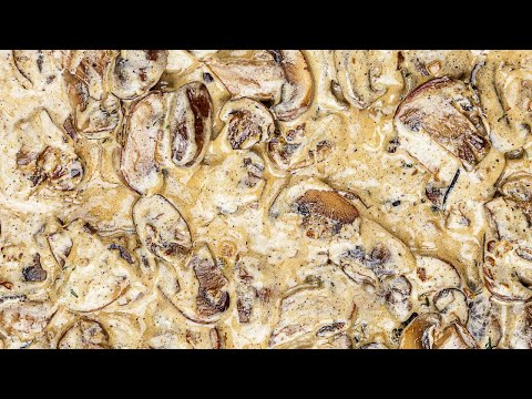 Creamy Mushroom Sauce