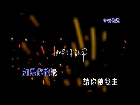 李其燊 如果能飞 ktv伴奏视频 歌词字幕