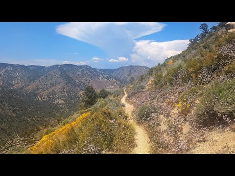 Pacific Crest Trail Thru Hike Episode 18 - Cheese Dogs and Miles