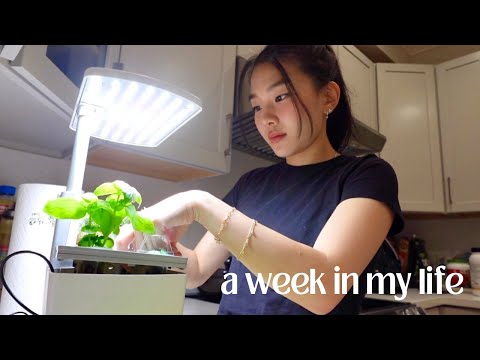 week in my life │ planting a mini garden, self care, eating lots of food