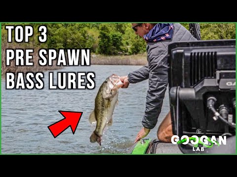 The BEST 3 PRE SPAWN LURES! ( Bass Fishing Tips )