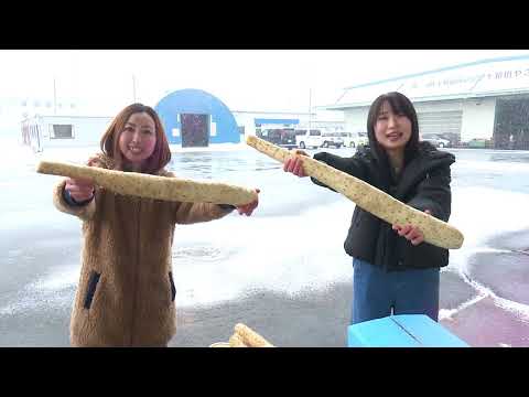 「Fresh Vegetable」旬の青森県産ながいもを紹介♪