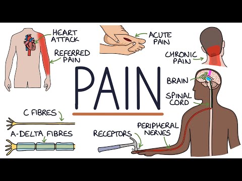 Understanding The Causes of Pain and Pain Management