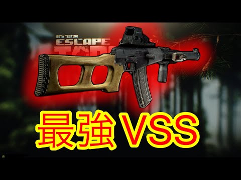 【タルコフ】究極銀河級最強ライフルVSSのアクロニムを紐解くずんだもん実況/VSS ＆ SP-6