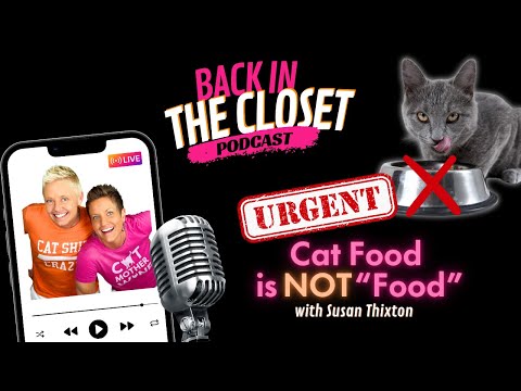 Why Cat Food IS NOT Actually 'Food" with Susan Thixton | Back In The Closet