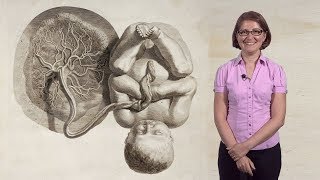 Mana Parast (UCSD) 1: What is the Placenta?