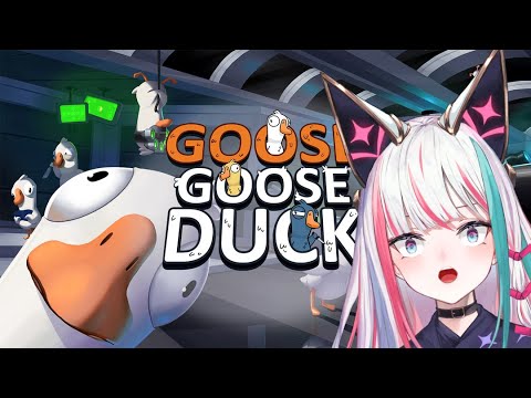 AM I A GOOSE OR A DUCK【GOOSE GOOSE DUCK】