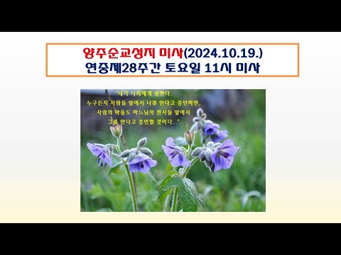 양주순교성지 미사(연중제28주간 토요일 11시미사 2024.10.19.)