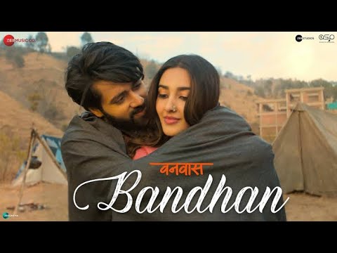 Bandhan | Palak Muchhal | New Hindi Song l Bollywood Hindi Song l Romantic Hindi Song l Love Song l