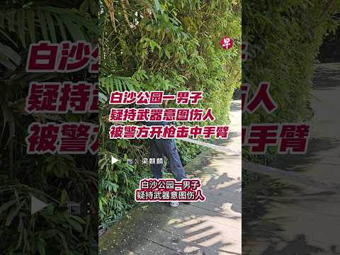 白沙公园一男子疑持武器意图伤人，被警员开枪击中手臂后送医。事件发生在11月8日早上6时许，地点在白沙乐怡度假村对面，白沙公园内的观鸟塔。相关调查仍在进行中。（旁述由人工智能生成） #singapore