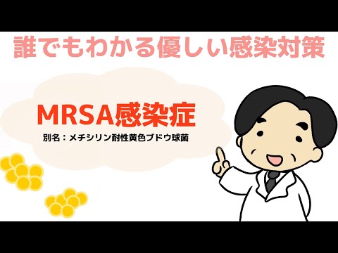 【MRSA感染症】院内感染だけでなく、市中感染の報告も増加中‼︎〜誰でもわかる優しい感染対策〜