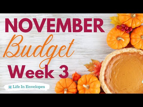 Budget Weekly Check In / Low Income / The Budget Mom / Life In Envelopes Stickers