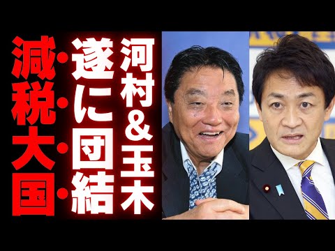 【打倒！財務省】国民民主党と日本保守党が共闘！玉木雄一郎と河村たかしが描く日本再生計画【政治】