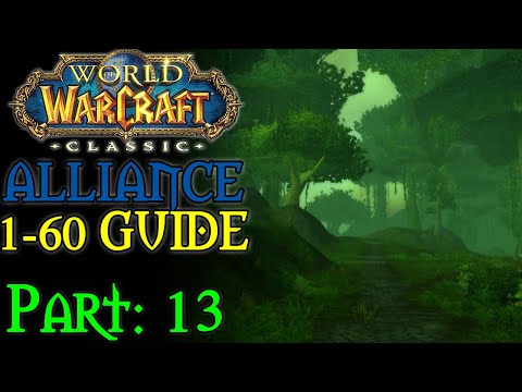 [Classic WoW] Pt. 13: Stranglethorn + Feralas 42-45 (Alliance 1-60 Guide)