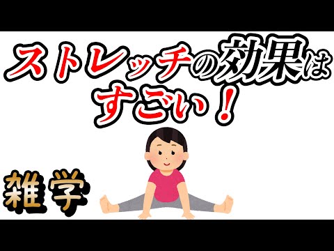 【雑学】ストレッチに関する役に立つ雑学