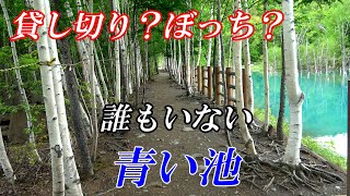 【圧倒的孤独感】ひとりぼっちの青い池『北海道　美瑛』４Ｋ