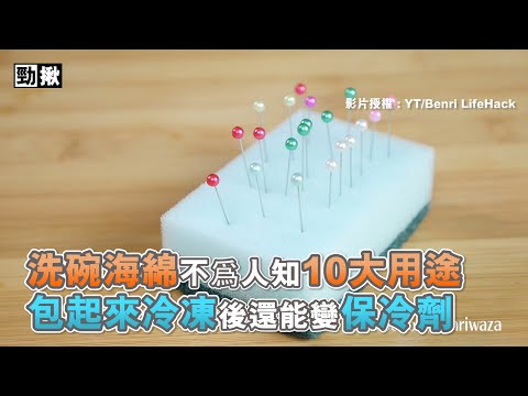 洗碗海綿不爲人知10大用途 抱起來冷凍后還能變保冷劑 | Benri Lifehack | 手工DIY |